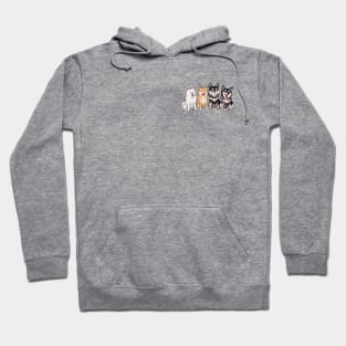 Shiba Friends Hoodie